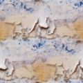 paint peeling